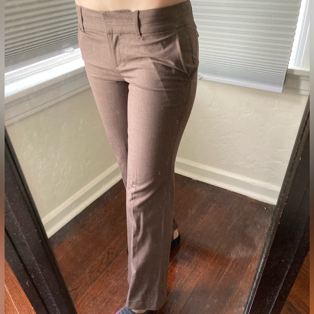Ann Taylor Loft petites Marisa Collection